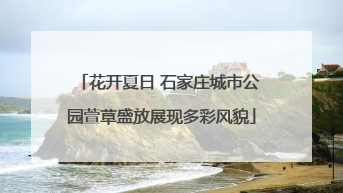 花开夏日 石家庄城市公园萱草盛放展现多彩风貌