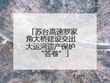 苏台高速罗家角大桥建设交出大运河遗产保护“答卷”