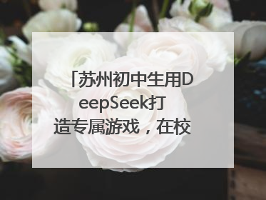 苏州初中生用DeepSeek打造专属游戏，在校园里火了！