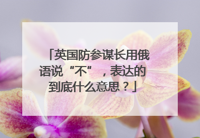 英国防参谋长用俄语说“不”，表达的到底什么意思？