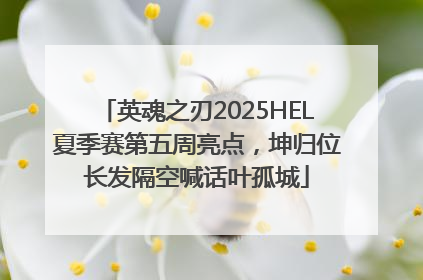 英魂之刃2025HEL夏季赛第五周亮点，坤归位长发隔空喊话叶孤城