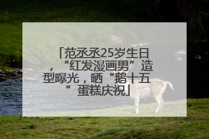 范丞丞25岁生日，“红发漫画男”造型曝光，晒“鹅十五”蛋糕庆祝