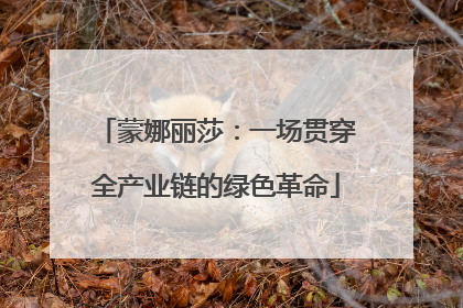 蒙娜丽莎：一场贯穿全产业链的绿色革命