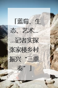 蓝莓、生态、艺术……记者实探张家楼乡村振兴“三重奏”