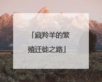 藏羚羊的繁殖迁徙之路