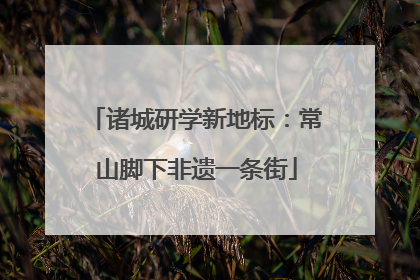 诸城研学新地标：常山脚下非遗一条街