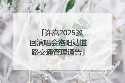 许嵩2025巡回演唱会洛阳站道路交通管理通告