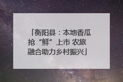 衡阳县：本地香瓜抢“鲜”上市 农旅融合助力乡村振兴