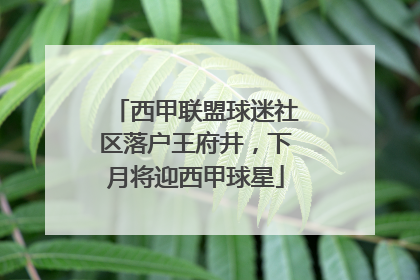 西甲联盟球迷社区落户王府井，下月将迎西甲球星