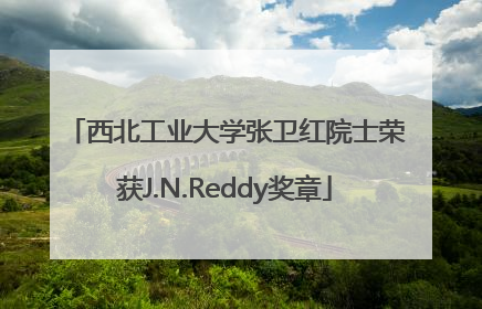西北工业大学张卫红院士荣获J.N.Reddy奖章