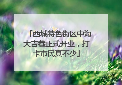 西城特色街区中海大吉巷正式开业，打卡市民真不少