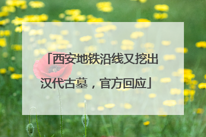 西安地铁沿线又挖出汉代古墓，官方回应