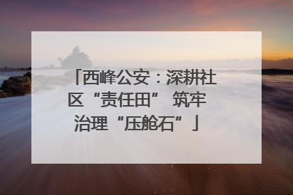 西峰公安：深耕社区“责任田” 筑牢治理“压舱石”
