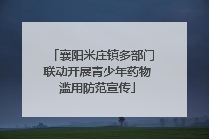 襄阳米庄镇多部门联动开展青少年药物滥用防范宣传