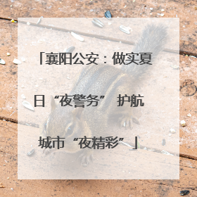襄阳公安：做实夏日“夜警务” 护航城市“夜精彩”