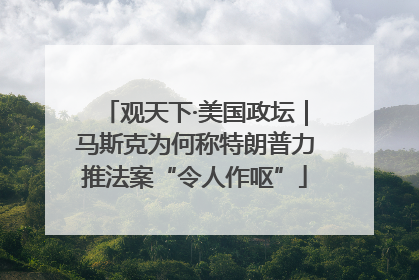 观天下·美国政坛｜马斯克为何称特朗普力推法案“令人作呕”