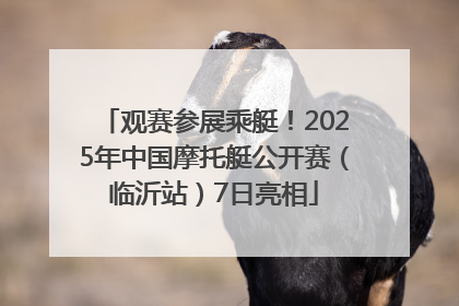 观赛参展乘艇！2025年中国摩托艇公开赛（临沂站）7日亮相