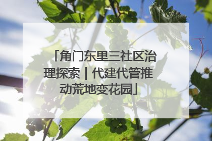 角门东里三社区治理探索｜代建代管推动荒地变花园