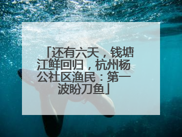 还有六天，钱塘江鲜回归，杭州杨公社区渔民：第一波盼刀鱼