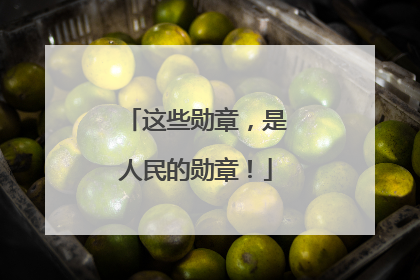 这些勋章，是人民的勋章！