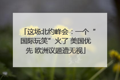 这场北约峰会：一个“国际玩笑”火了 美国优先 欧洲议题遭无视