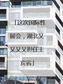 这次国际性展会，湖北又又又又担任主宾省