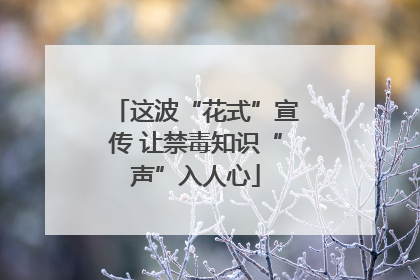 这波“花式”宣传 让禁毒知识“声”入人心