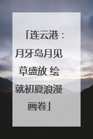 连云港：月牙岛月见草盛放 绘就初夏浪漫画卷