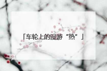 车轮上的漫游“热”