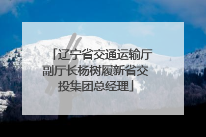 辽宁省交通运输厅副厅长杨树履新省交投集团总经理