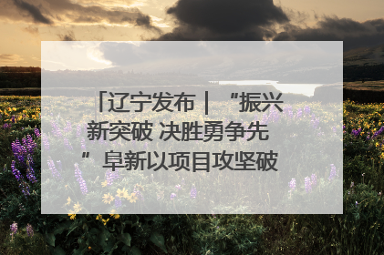 辽宁发布｜“振兴新突破 决胜勇争先”阜新以项目攻坚破解发展瓶颈 经济发展实现良好开局