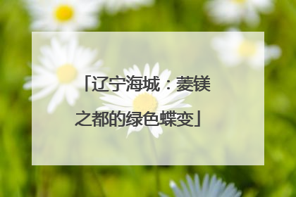辽宁海城：菱镁之都的绿色蝶变