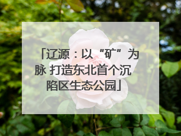 辽源：以“矿”为脉 打造东北首个沉陷区生态公园