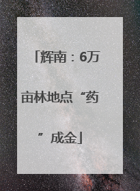 辉南：6万亩林地点“药”成金