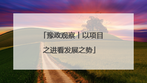 豫政观察丨以项目之进看发展之势