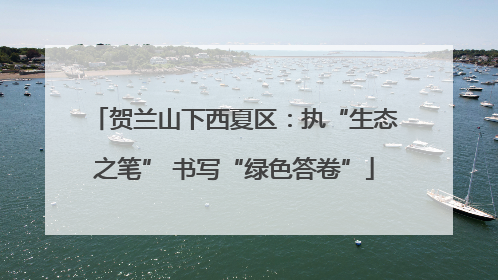 贺兰山下西夏区：执“生态之笔” 书写“绿色答卷”