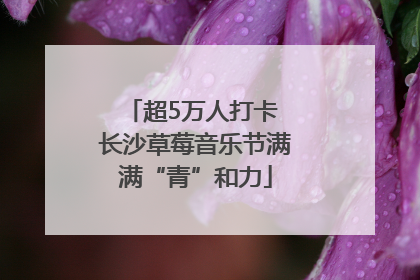 超5万人打卡 长沙草莓音乐节满满“青”和力