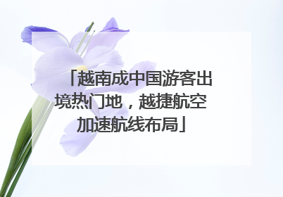 越南成中国游客出境热门地，越捷航空加速航线布局