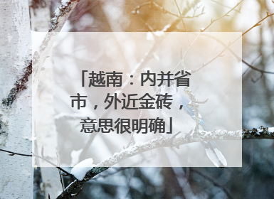 越南：内并省市，外近金砖，意思很明确