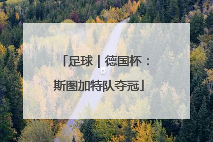 足球｜德国杯：斯图加特队夺冠