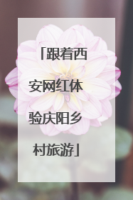 跟着西安网红体验庆阳乡村旅游