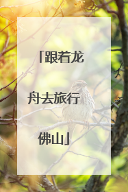 跟着龙舟去旅行佛山