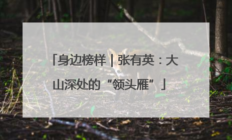 身边榜样｜张有英：大山深处的“领头雁”