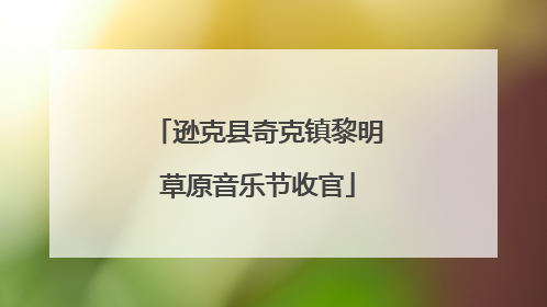 逊克县奇克镇黎明草原音乐节收官