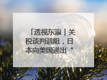 透视东瀛｜关税谈判遇阻，日本向美国递出“投名状”