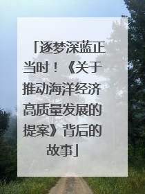 逐梦深蓝正当时！《关于推动海洋经济高质量发展的提案》背后的故事