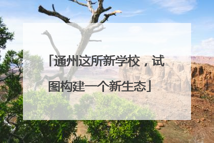 通州这所新学校，试图构建一个新生态