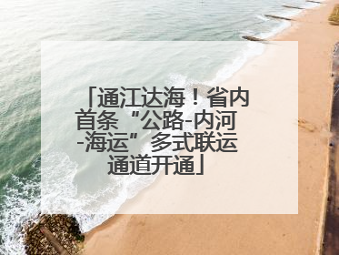 通江达海！省内首条“公路-内河-海运”多式联运通道开通