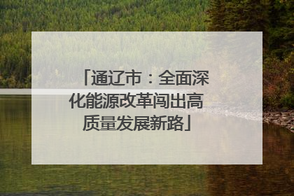 通辽市：全面深化能源改革闯出高质量发展新路