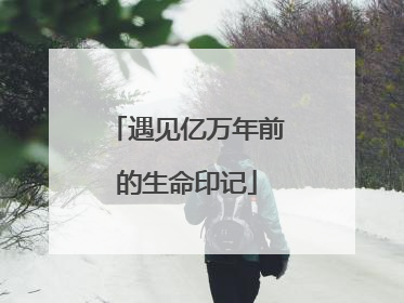 遇见亿万年前的生命印记